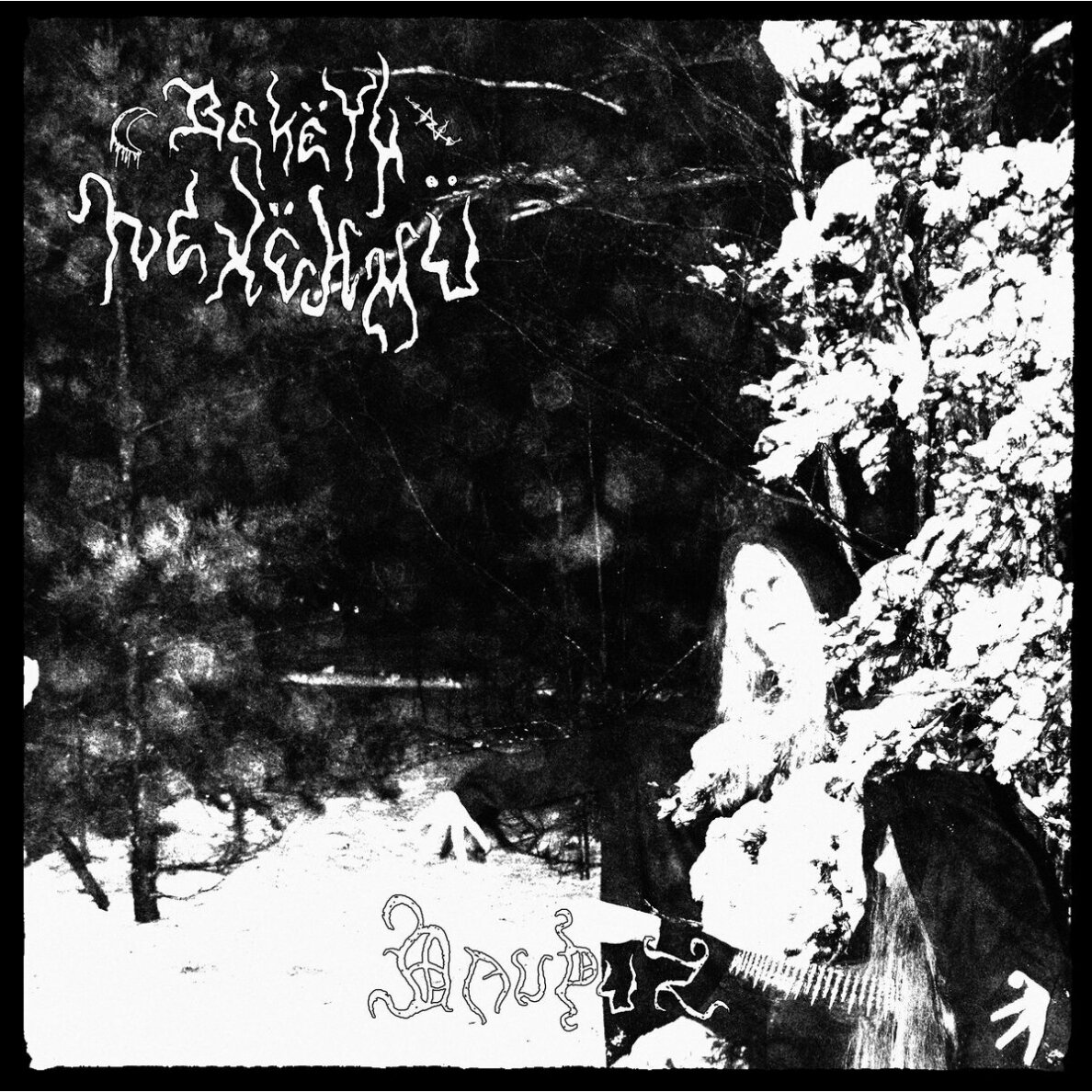 Bekëth Nexëhmü - Dauthuz CD