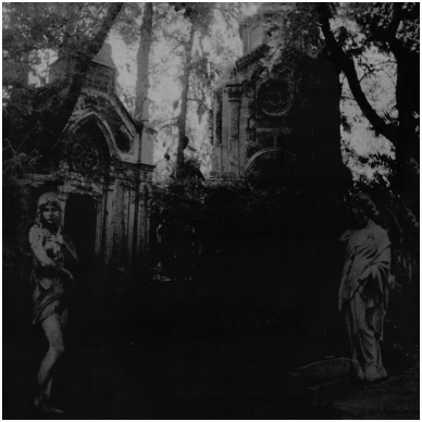 Hetroertzen ‎- Flying Across The Misty Gardens LP