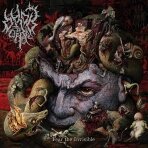 Ordo Ad Chao ‎- Fear The Invisible Digi CD