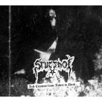 Stutthof ‎- And Cosmos From Ashes To Dust... Digi CD