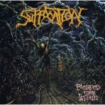 Suffocation - Pierced From Within LP