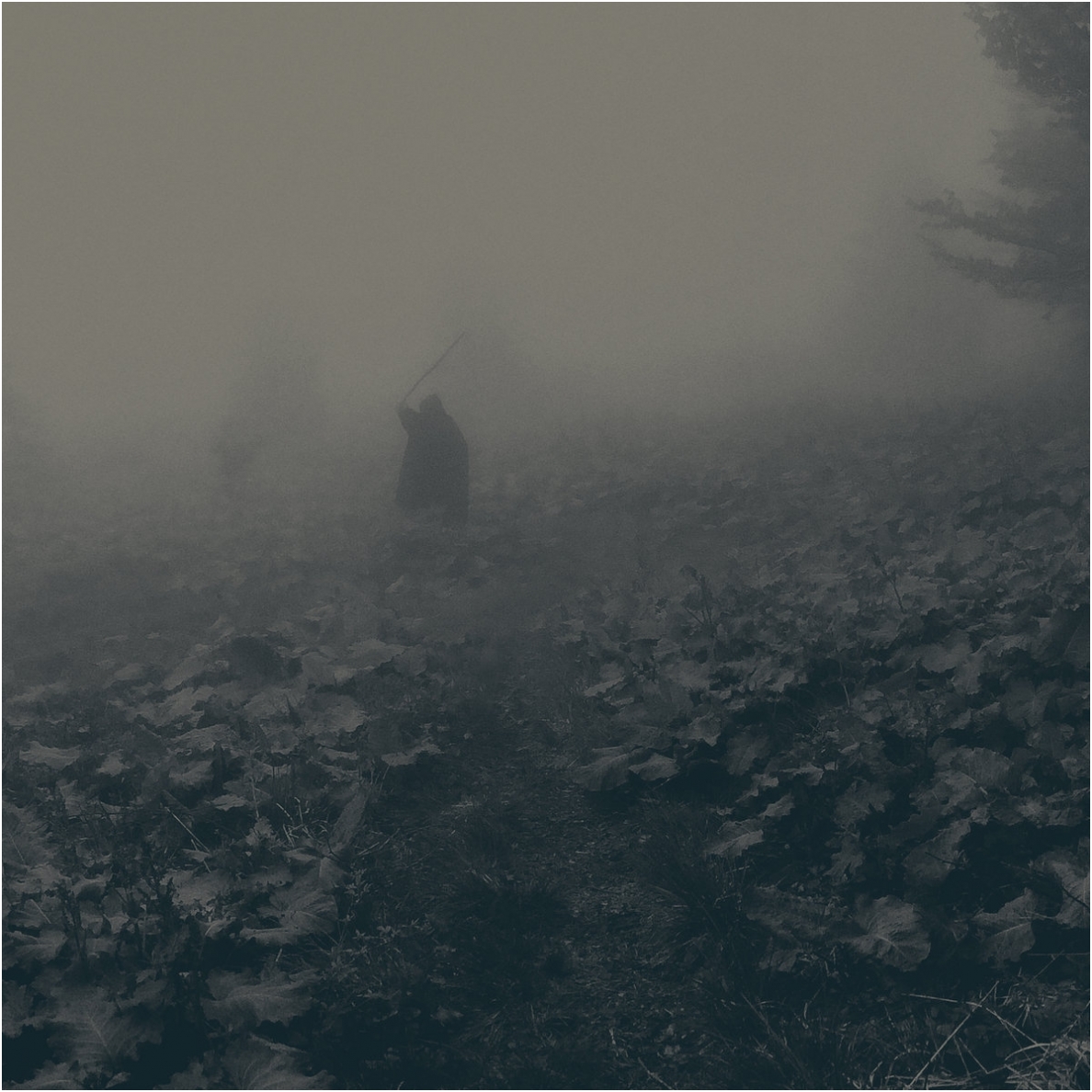 Thaw - St. Phenome Alley LP Thaw - St. Phenome Alley LP