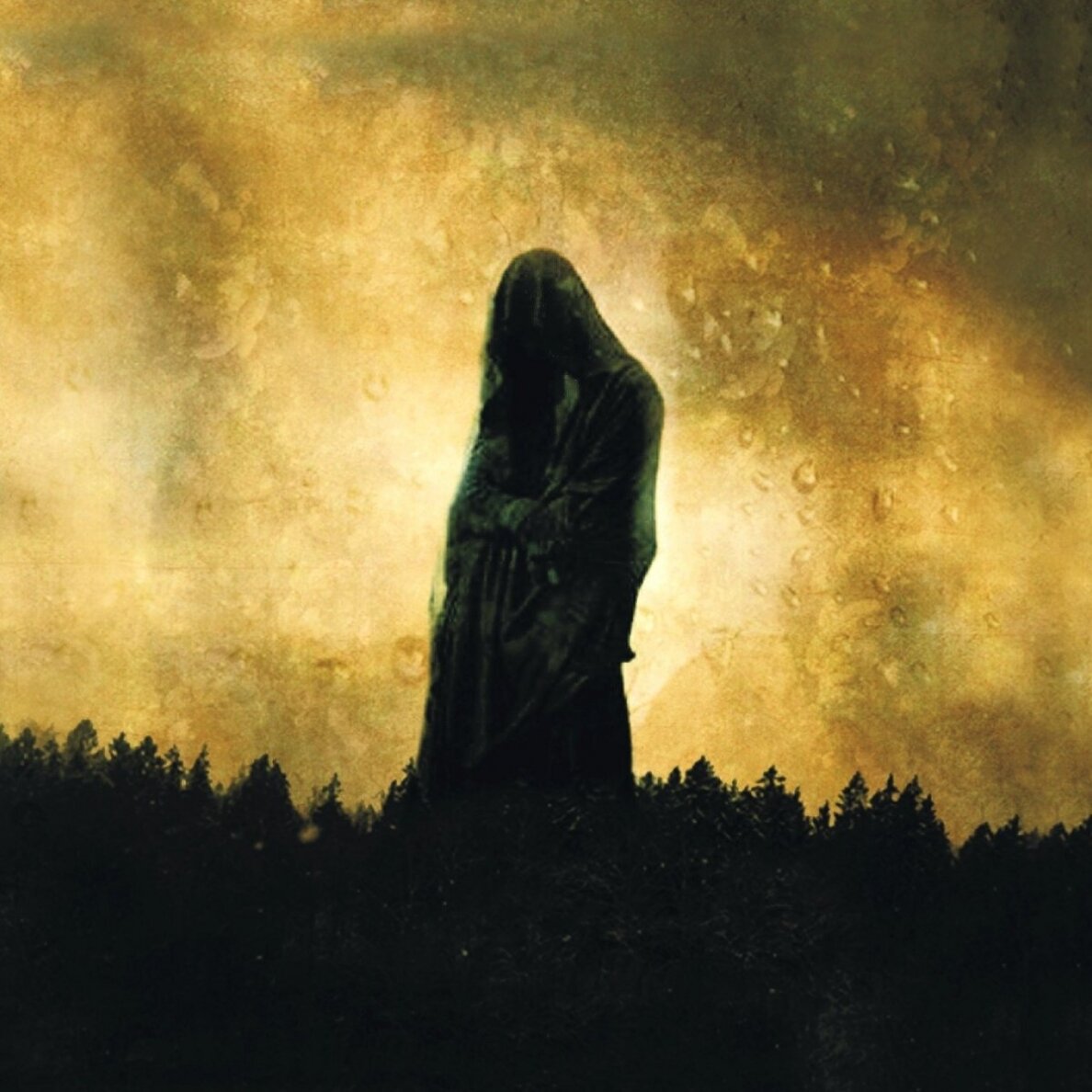 Woods Of Desolation - Toward The Depths CD Woods Of Desolation - Toward The Depths CD
